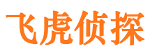 彭水侦探公司